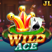 Wild Ace Mobile app game